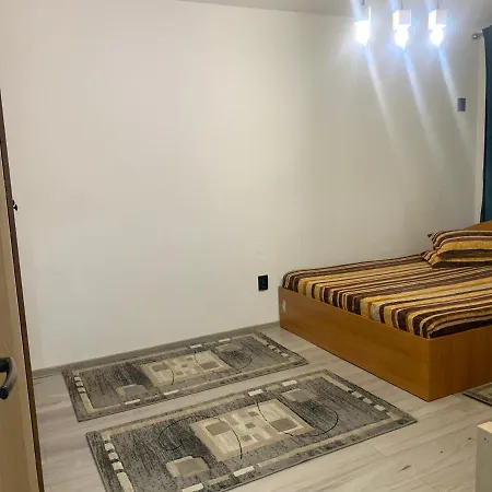 Apartment Garsoniera Gabriel *